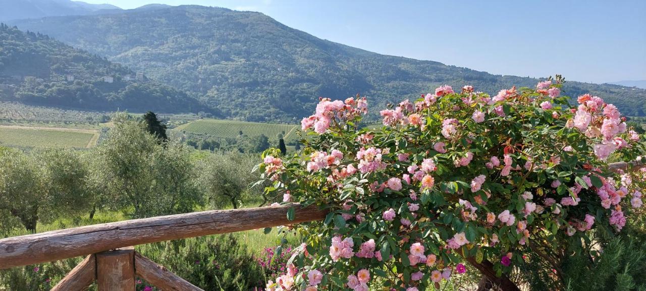 La Fornella Dell'Anita Villa Pelago Exteriör bild