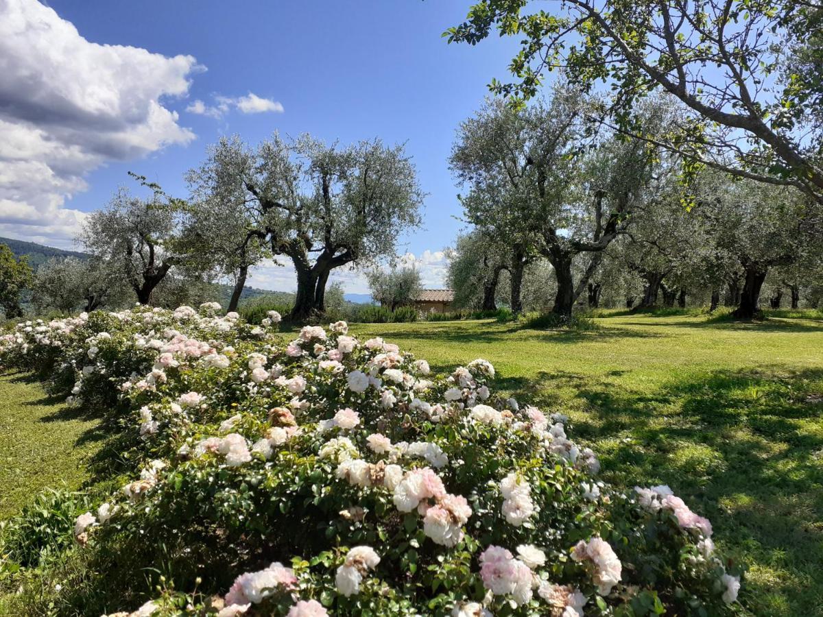 La Fornella Dell'Anita Villa Pelago Exteriör bild