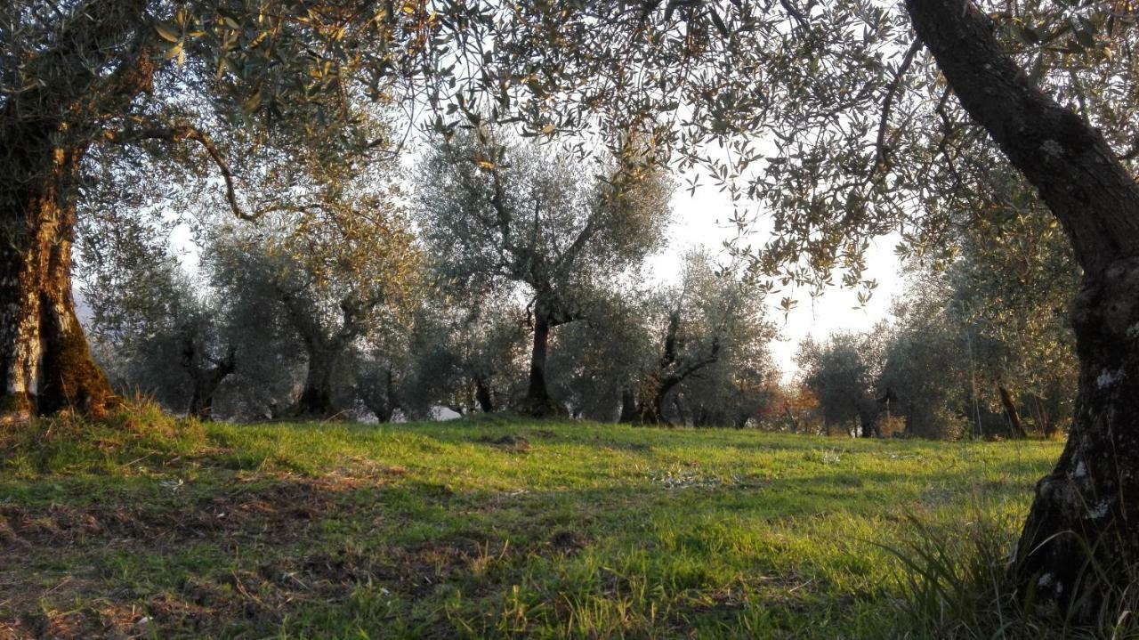 La Fornella Dell'Anita Villa Pelago Exteriör bild