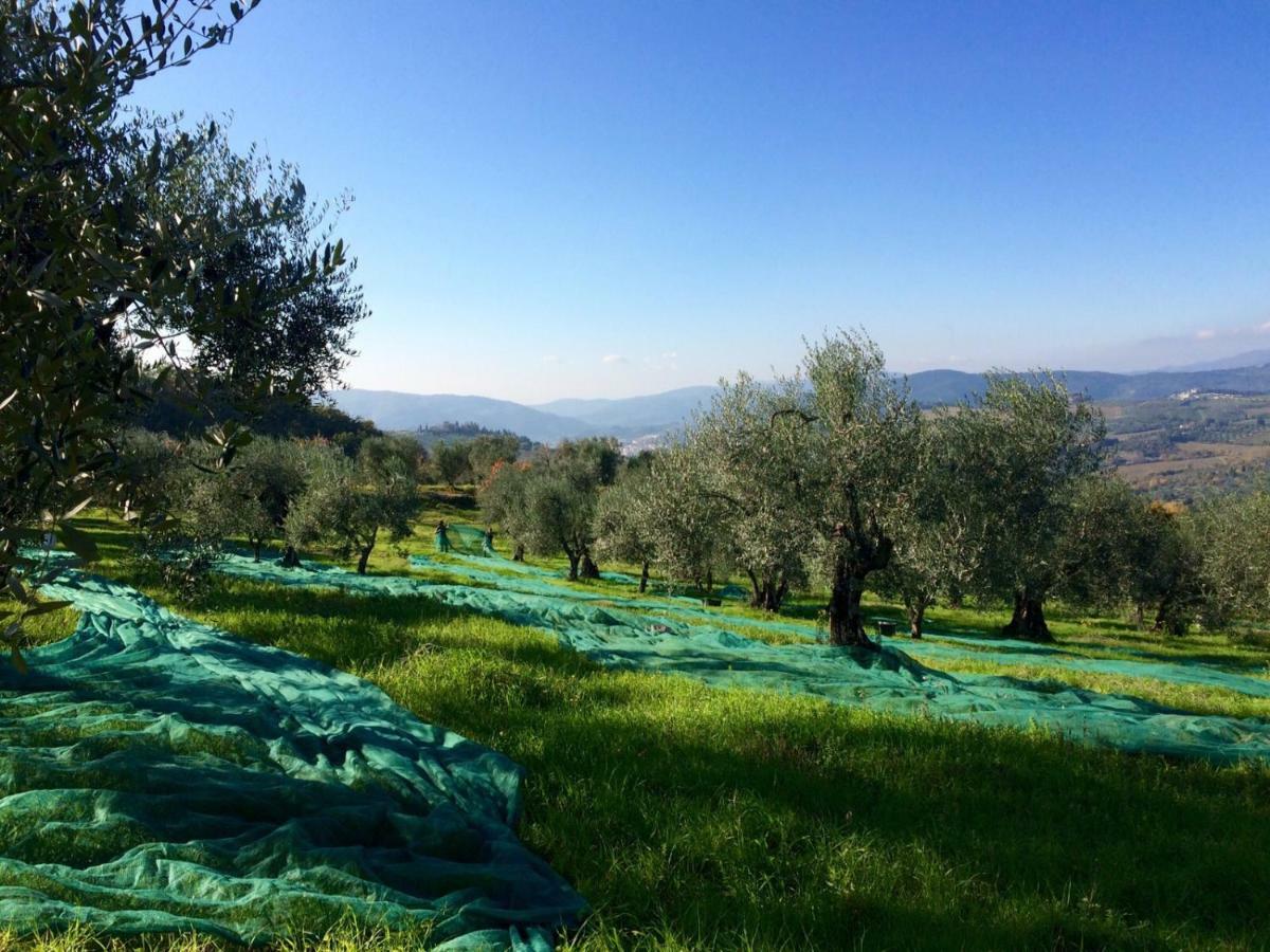 La Fornella Dell'Anita Villa Pelago Exteriör bild