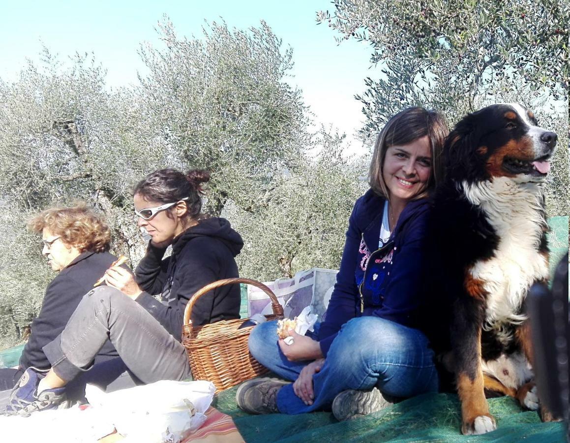La Fornella Dell'Anita Villa Pelago Exteriör bild