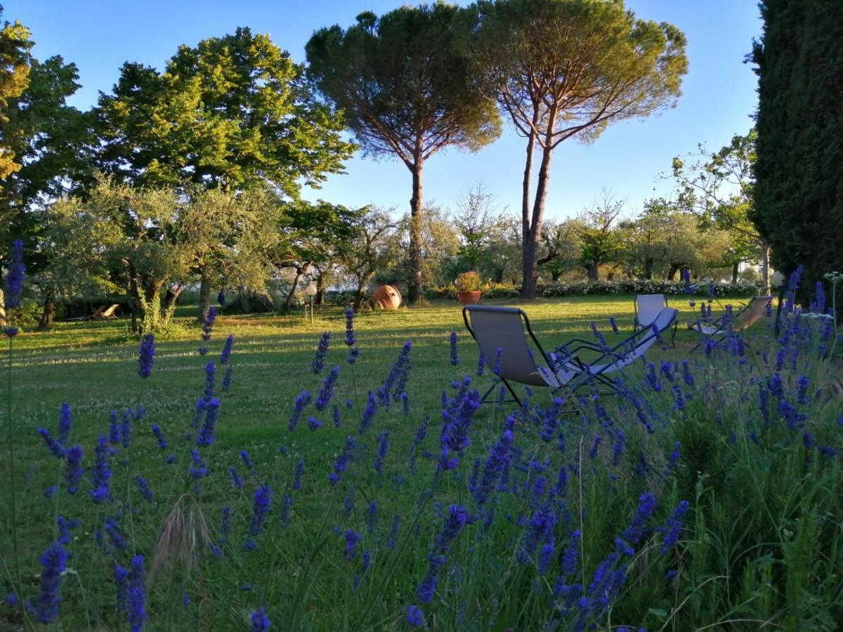 La Fornella Dell'Anita Villa Pelago Exteriör bild